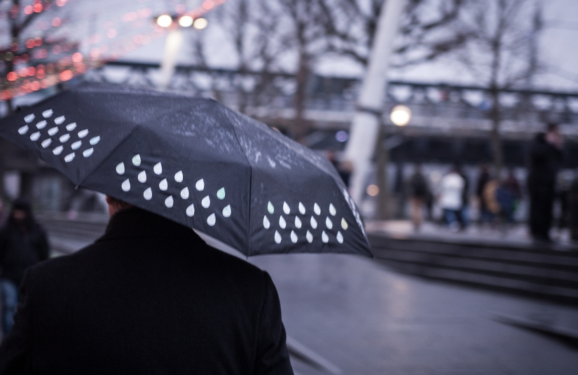 umbrella